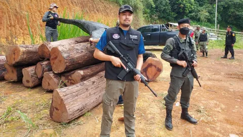 ยึดไม้ประดู่ท่อน ลักลอบตัดส่งนายทุน กองในป่าสงวนฯ ที่น่าน