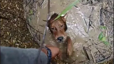 ช่วยน้องหมาอุดรฯ แสนรู้ ตกบ่อร้างขึ้นไม่ได้ ร้องขอคนช่วย 2 วัยจนเสียงแหบ