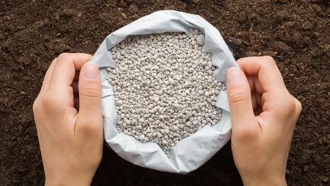 หวังช่วยลดนำเข้าแก้ปุ๋ยแพง อนุมัติเหมืองโพแทช 3.6 หมื่นล้าน