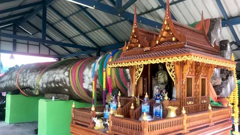 "แม่ตะเคียน" เข้าฝันให้โชค หนุ่มถูกลอตเตอรี่ 20 ใบ 3 งวดติด กลับมาขอ "เลขเด็ด" อีก (คลิป)