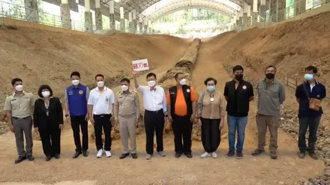 ไม้กลายเป็นหินที่ยาวที่สุดในโลกอยู่ที่ตาก เตรียมบันทึกสถิติโลก 8 ก.ค.นี้ (คลิป)