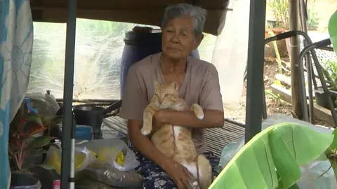 ยายเจ้าของแมว "เจ้าสีเงิน" เผยจะพากลับบ้านนอก ยุติข้อพิพาทเพื่อนบ้าน (คลิป)