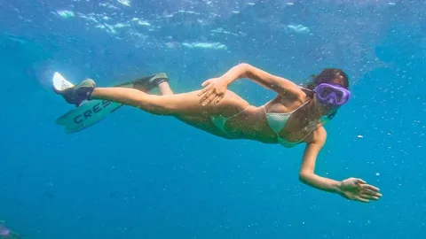 นางเงือกหุ่นแซ่บ “น้ำตาล-ชลิตา” ดำน้ำชมความงามใต้ท้องทะเลไทย