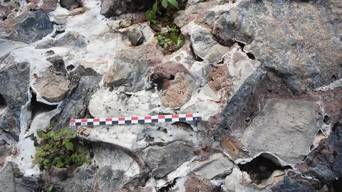 บรรพบุรุษของมนุษย์ยุคแรกเก่าแก่กว่าที่คิดไว้