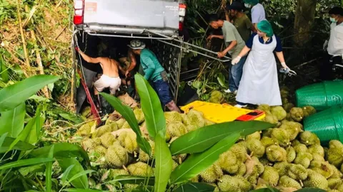 รถทุเรียนคว่ำ หมอนทอง 3 ตัน ทับคนนั่งท้ายตาย 2 บาดเจ็บสาหัส 5 