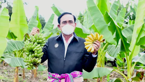 “บิ๊กตู่” ย้ำรักทุกจังหวัด ชี้บางเรื่องไม่กล้วย บอกเปลี่ยนนายกฯ บ่อยก็เหมือนเดิม