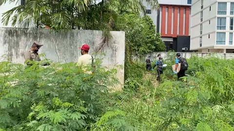 พบศพหนุ่มช่างเชื่อม ตกจากคอนโด 51 ชั้นกลาง อ.หาดใหญ่ ตร.รุดสอบหาสาเหตุ