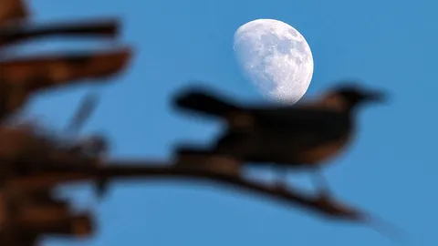 ศึกษาความพรุนของเปลือกดวงจันทร์