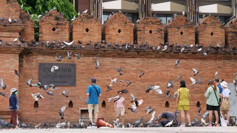 เชียงใหม่คึกคัก คนแห่เที่ยวรับหยุดยาว ขณะที่ยังใส่หน้ากากเที่ยวกันอยู่