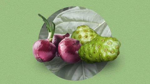 พืชผักสมุนไพรพื้นบ้านไทย สร้างเชื้อจุลินทรีย์ดีในลำไส้ เสริมภูมิคุ้มกัน