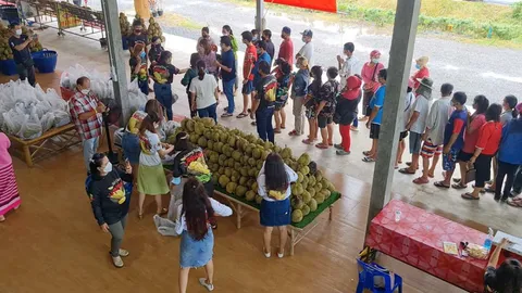 ร้านทุเรียนริมบายพาสแกลง ขายหมอนทองลูกละ 50 คนแห่ซื้อหมด 2 ตันใน 30 นาที