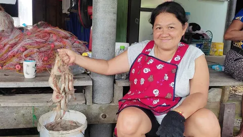 ประมงพื้นบ้านเกาะช้าง ออกทะเลวางอวน จับกุ้งแชบ๊วยได้ กก.ละ 200-250 บาท