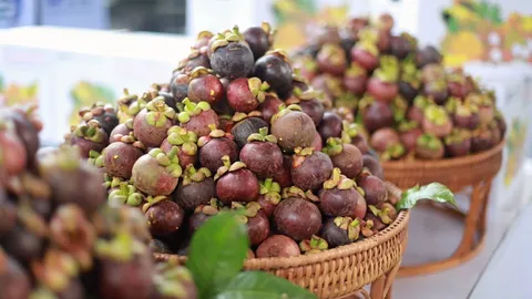 ปลดล็อกมังคุดไปไต้หวัน