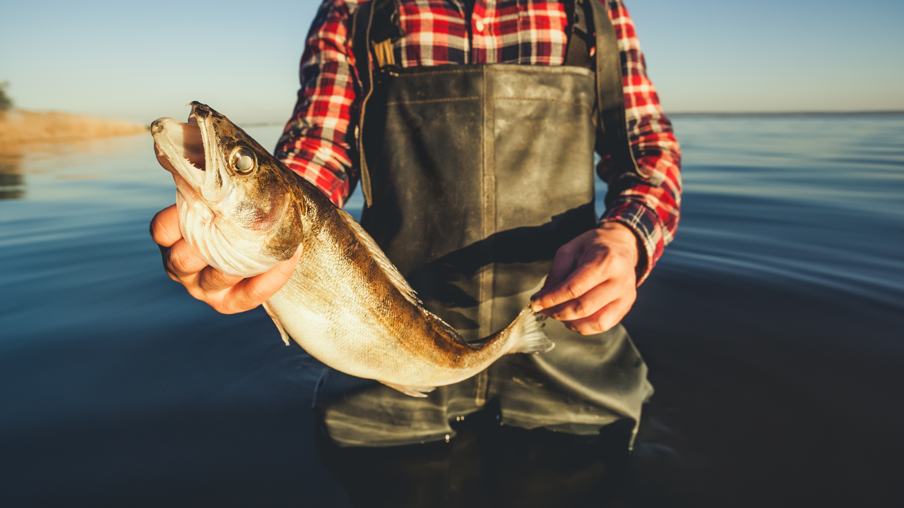 .ทำนายฝันแม่นๆ 