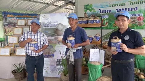 เปิดตัว "หอมมะลิ GI อุบลราชธานี" ข้าวแสงแรกของไทย จากที่ราบลุ่มน้ำโขง