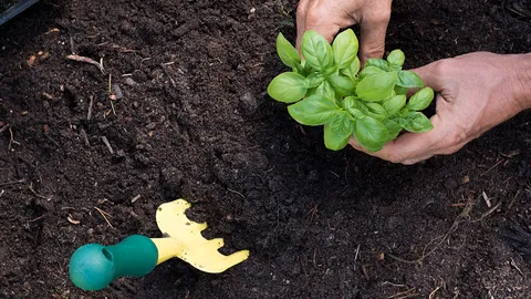 ลุยโครงการ “ต้นไม้ล้านต้น ล้านความดี” กยศ.ระดมสถานศึกษา-นักเรียนปลูก