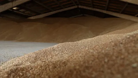 รัสเซียยิงมิสไซล์โจมตีเมืองท่าโอเดสซา วันเดียวหลังปิดดีลส่งออกธัญพืช