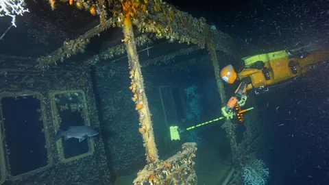 หุ่นยนต์ใต้น้ำเชื่อมต่อสายตาและสัมผัสกับมนุษย์