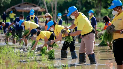 สอ.รฝ. จัดกิจกรรมการเรียนรู้เกษตรทฤษฎีใหม่ เนื่องในวันเฉลิมฯ 28 ก.ค.