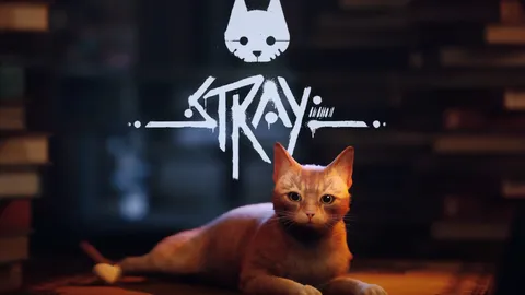 รีวิวเกม Stray เหมียวน้อยจรจัดลุยโลกไซเบอร์พังก์ 