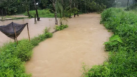 รองผู้ว่าฯ พังงา สั่งหน่วยงานท้องถิ่น 8 อำเภอ รับมือน้ำท่วมจากฝนตกหนัก