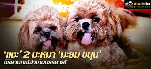 'แชะ' 2 มะหมา 'มะยม ขนุน' อิริยาบถเฮฮาเกินบรรยาย!
