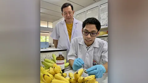 ชะลอกล้วยไข่ตกกระ