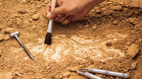 แหล่งซากฟอสซิล ยุคจูราสสิกในอังกฤษ