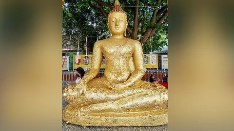 หมอไก่ เปิดเคล็ดลับการขอพร "หลวงพ่อปลดหนี้" เชื่อทำตามนี้มีแต่เฮง