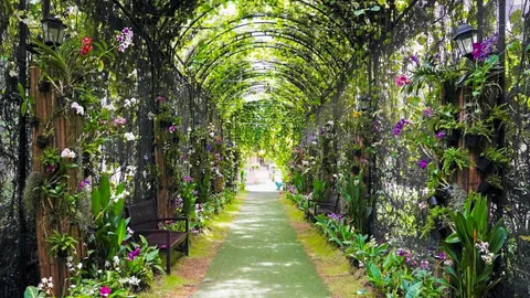 ส่งต่อความรักเพื่อคนพิเศษในงาน “ALLY&FRIENDS Unconditional Love”