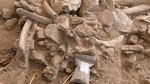 หลักฐานชี้มนุษย์ยุคแรกอยู่ในอเมริกาเหนือ