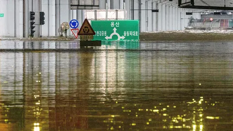 โสมขาวเหยื่อน้ำท่วมเพิ่ม โสมแดงซุ่มระบายน้ำเขื่อน
