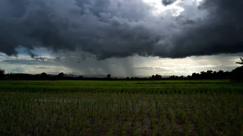 อุตุฯ ฉบับ 10 ดีเปรสชันมู่หลาน ทำไทยตอนบนฝนหนัก อันดามัน-อ่าวไทย คลื่นสูง 2 เมตร