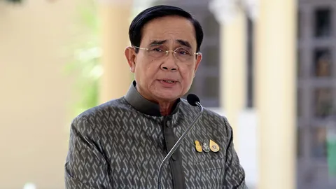 เยื่อใยในสงครามเย็น