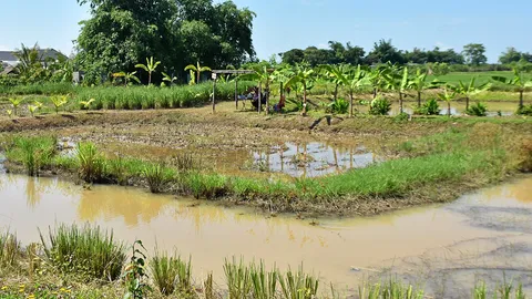 กรมการพัฒนาชุมชน เปิดศูนย์ผู้นำจิตอาสาเฉลิมพระเกียรติ รัชกาลที่ 10