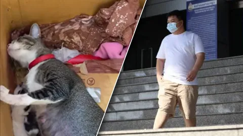 "เพนกวิน" แจ้ง "แมวน้อย" ออกลูก 8 ตัว แนะ เสี่ยงโชคอาจได้ลาภก้อนใหญ่