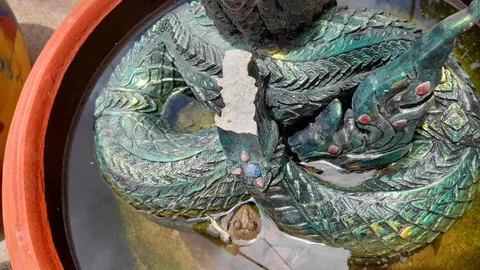 ส่องเลขเด็ด "คำชะโนด" คอหวยสนใจ "กบ" มาอยู่ข้างอ่างพญานาคนับเดือน (คลิป)