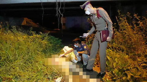 ตกทางด่วน 