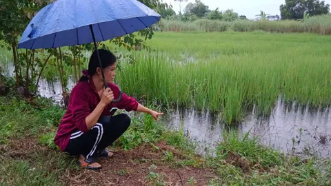 ชาวบ้านกบินทร์บุรีผวา สุนัขโดนจระเข้ไล่กัด ประสานชุดไกรทองมาช่วยจับแล้ว