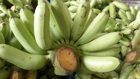 กล้วยไข่ GI กำแพงเพชร