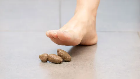 ความหมาย 'ฝันว่าเหยียบขี้' และ 'เลขเด็ด' 