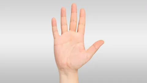 "หมอลักษณ์" ฉะโหรยุคใหม่ อุตริ สักลายมือเสริมดวง ชี้นานเข้าจะกลายเป็นอัปมงคล