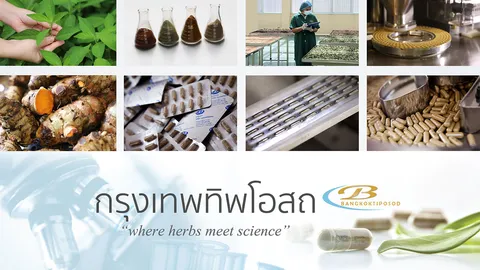 กรุงเทพทิพโอสถ ปล่อยแคมเปญสมุนไพร เข้าใจคุณ พร้อมดันยาสมุนไพรและการรักษาทางเลือกเชื่อมโยงคนยุคใหม่