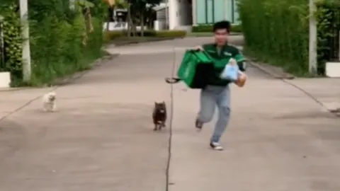 ไวรัลสุดฮา หนุ่มทำคลิปชีวิตไรเดอร์ ถามหมาดุไหม ขาดคำวิ่งหนีแบบ 4x100