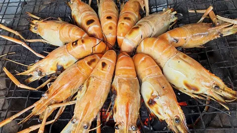 เลิศเลอ...กุ้งแม่น้ำเป็นๆถูกๆ “ฟาร์มกุ้งพิศมัย”@ลาดปลาเค้า