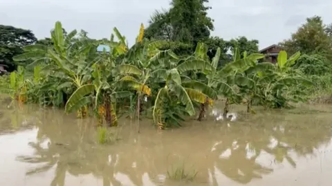 ชาวบางหลวงอ่วม น้ำมาเร็วกว่าทุกปี แม่น้ำน้อยล้นตลิ่งเอ่อท่วมสวนผลไม้