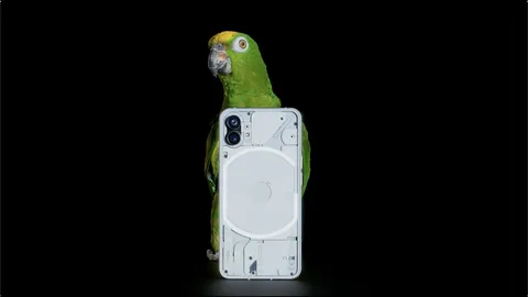 Nothing Phone (1) ไม่มีแผนอัปเดตระบบปฏิบัติการ Android 13 จนถึงปีหน้า