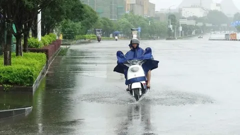พายุ "หมาอ๊อน" ขึ้นฝั่งทางตอนใต้ของจีน ประกาศเตือนภัยระดับ 4 