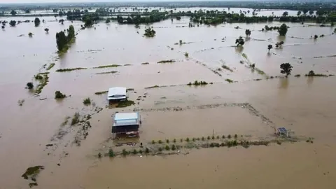 โคราชไม่รอดน้ำท่วมที่ประทาย หลัง 2 ลำน้ำเอ่อท่วม ไร่นาเสียหาย 500 ไร่