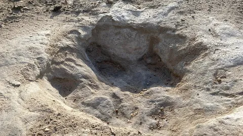 น้ำแห้งเผยเส้นทางรอยเท้าไดโนเสาร์ในเท็กซัส